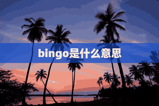 bingo是什么意思(bingo是什么意思中文)